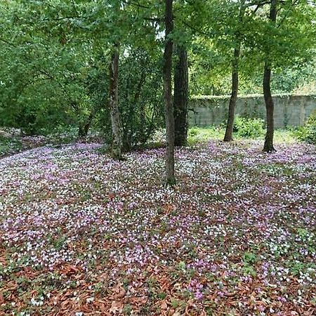 ホテル Le Buisson モンルイ・シュル・ロワール エクステリア 写真